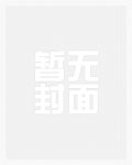 将军与寡妇大结局